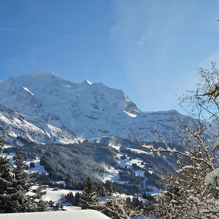 Apartment Primula By Interhome Wengen Exterior photo