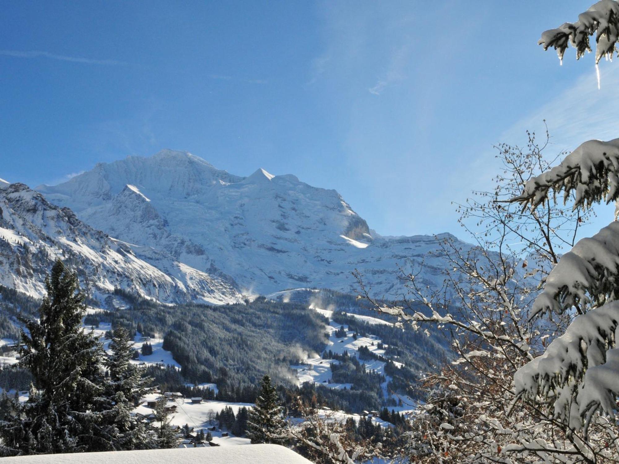 Apartment Primula By Interhome Wengen Exterior photo